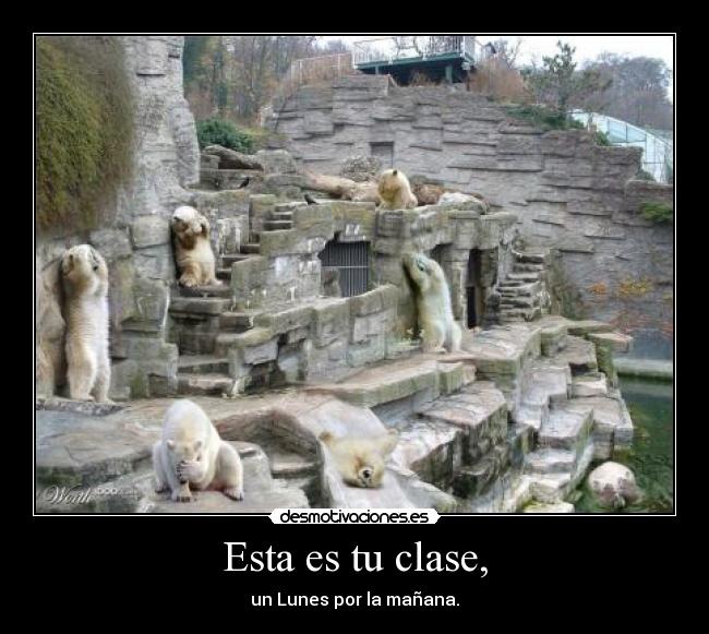 Esta es tu clase, - 