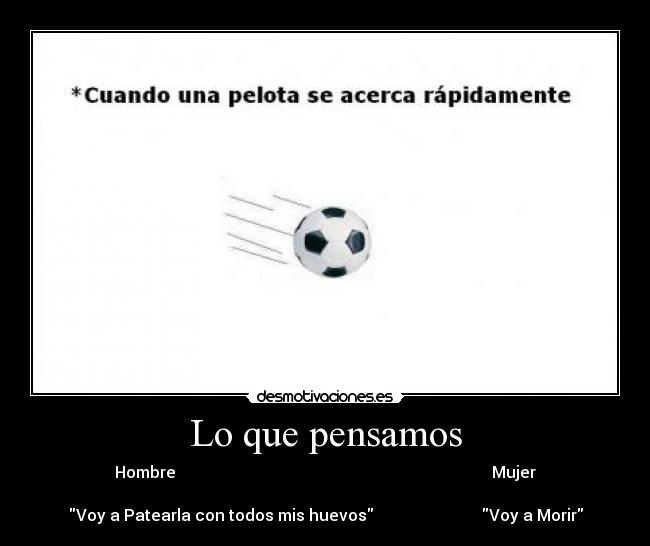 Lo que pensamos -