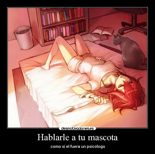 Hablarle a tu mascota - como si el fuera un psicólogo