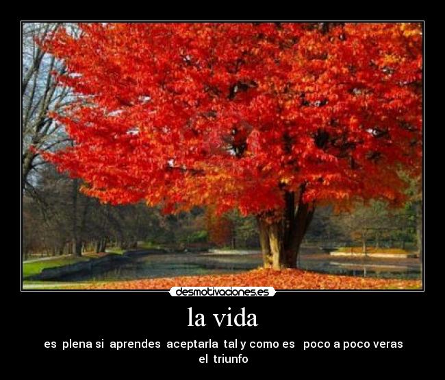 carteles vida daniel escobedo desmotivaciones