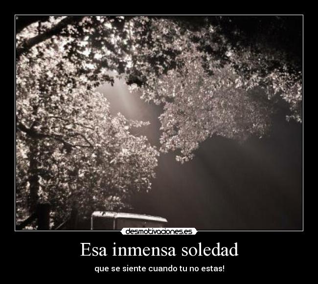 Esa inmensa soledad -