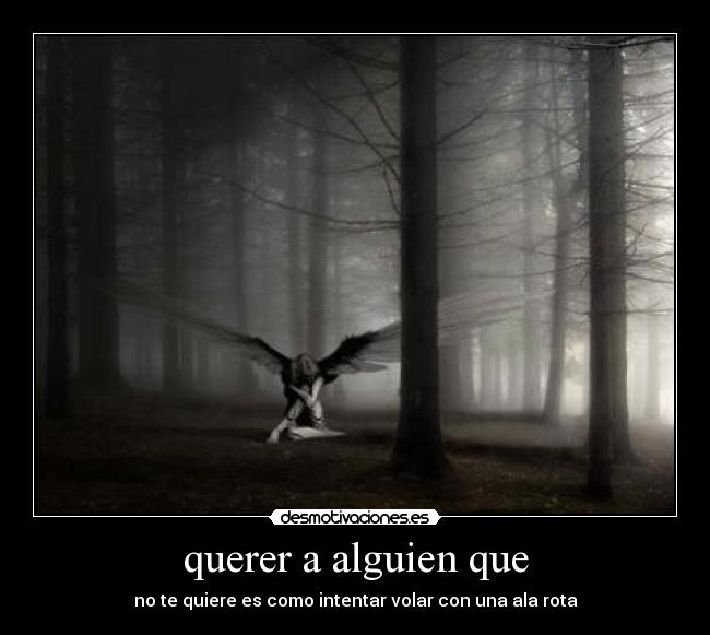 querer a alguien que - no te quiere es como intentar volar con una ala rota