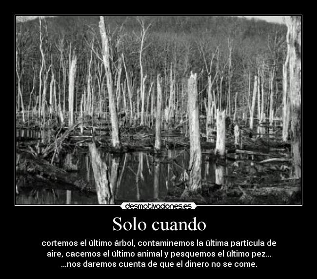 Solo cuando - cortemos el último árbol, contaminemos la última partícula de
aire, cacemos el último animal y pesquemos el último pez...
...nos daremos cuenta de que el dinero no se come.