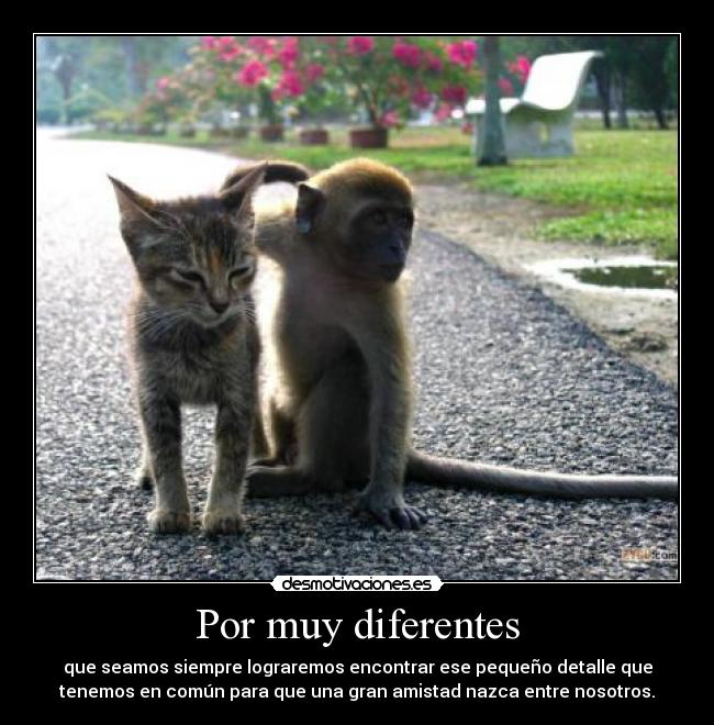 Por muy diferentes -