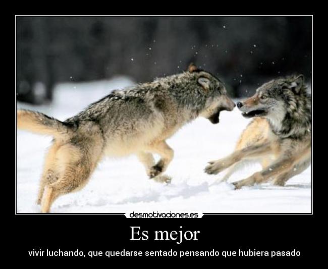 Es mejor - vivir luchando, que quedarse sentado pensando que hubiera pasado