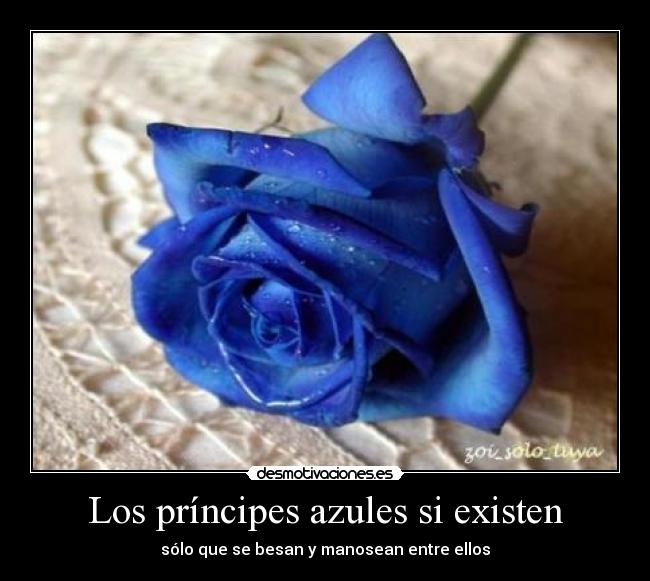 Los príncipes azules si existen - 