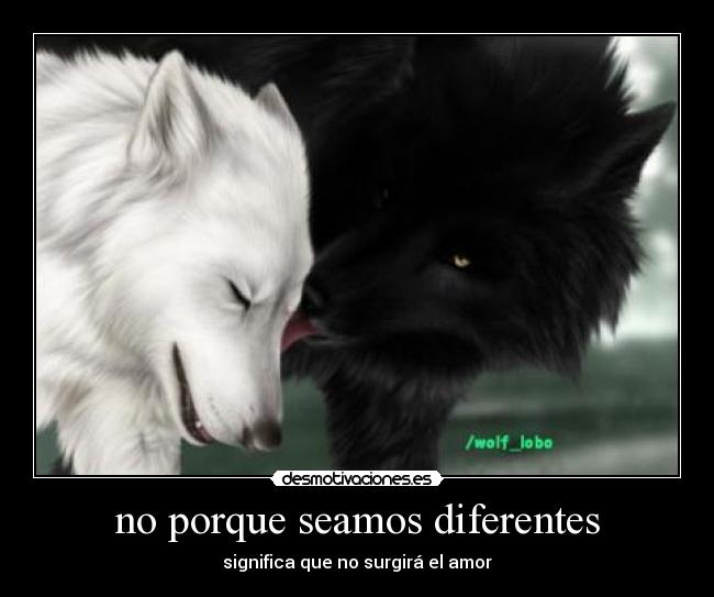 no porque seamos diferentes - 