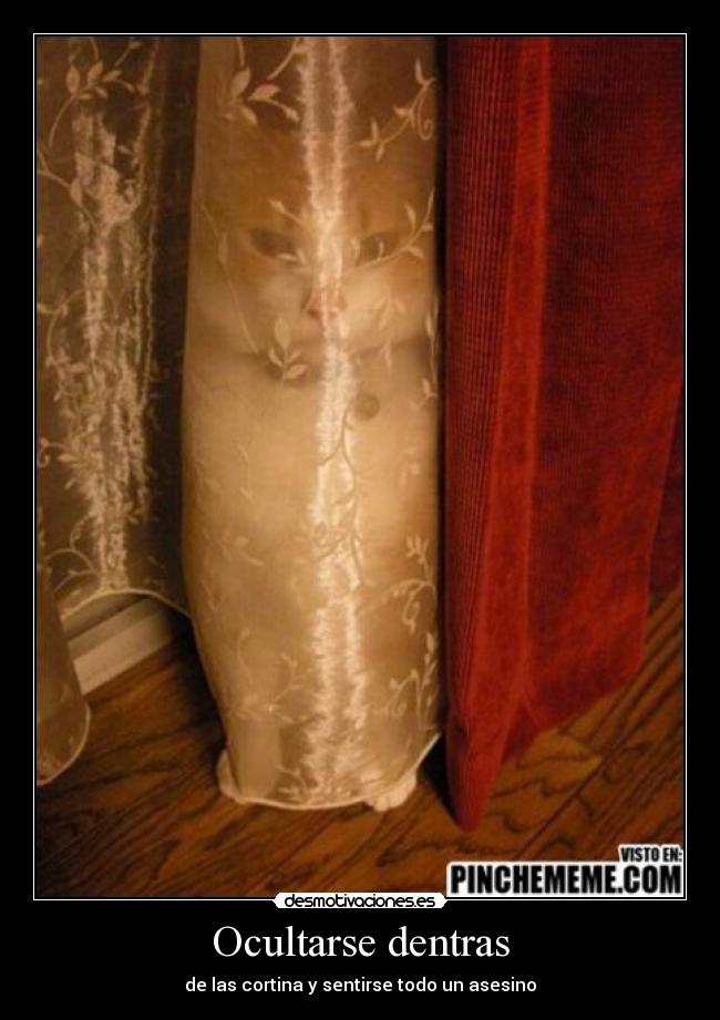 Ocultarse dentras - 