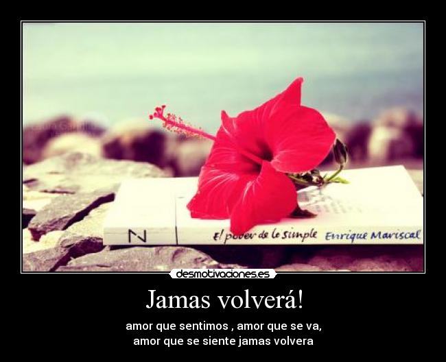 carteles ame gutierrez desmotivaciones