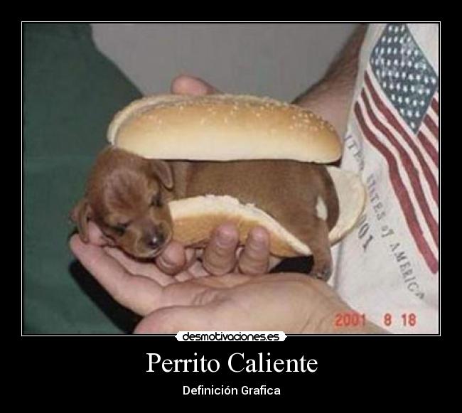 Perrito Caliente - 