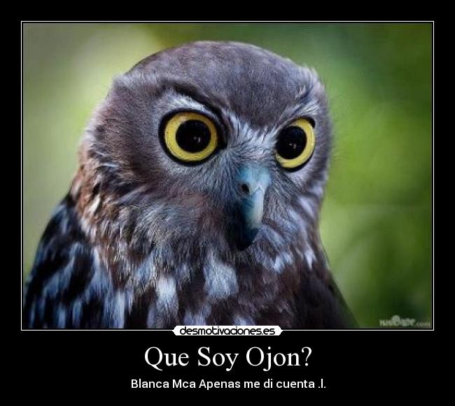 carteles ojon andres desmotivaciones