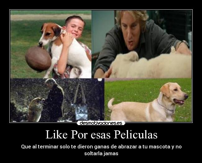 Like Por esas Peliculas -