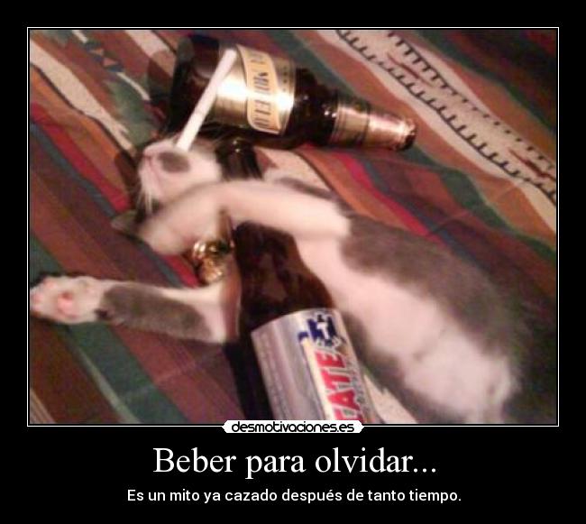 Beber para olvidar... - Es un mito ya cazado después de tanto tiempo.