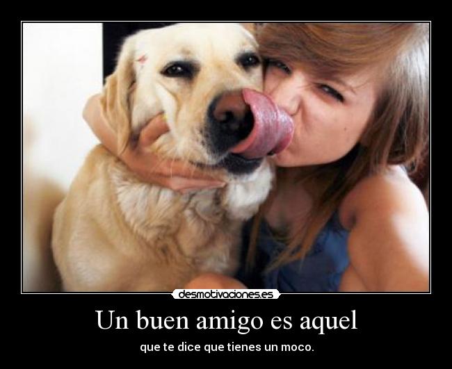 Un buen amigo es aquel -