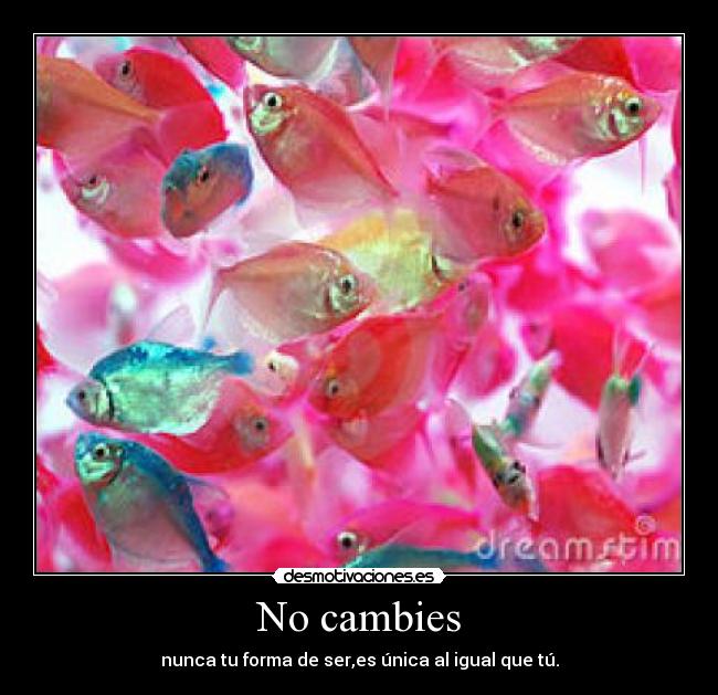 No cambies - 