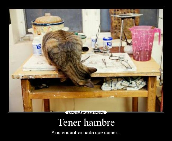 carteles  desmotivaciones