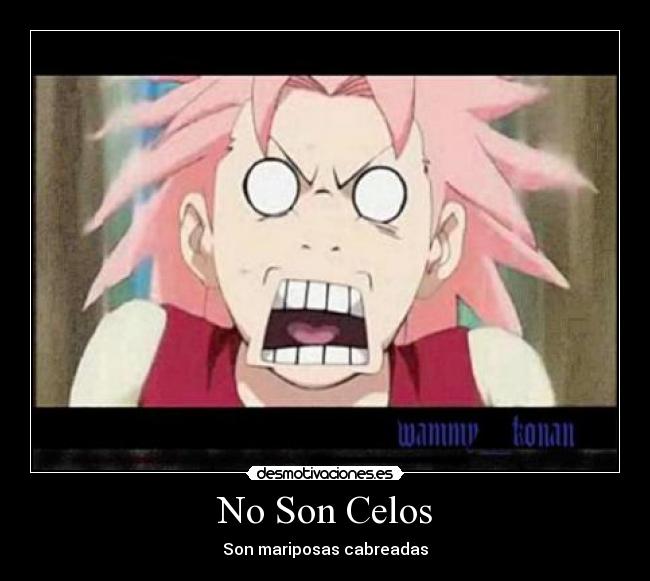 No Son Celos - Son mariposas cabreadas