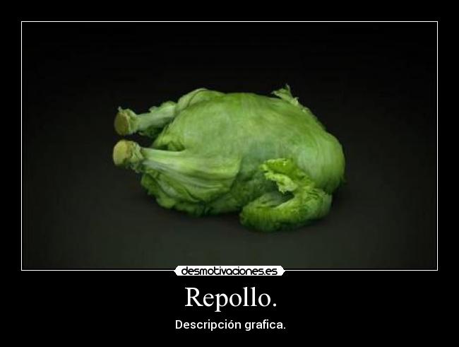 Repollo. - Descripción grafica.