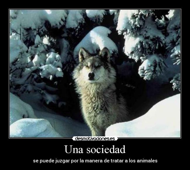 Una sociedad -