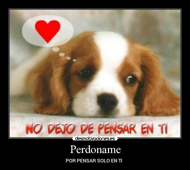 carteles perdoname desmotivaciones