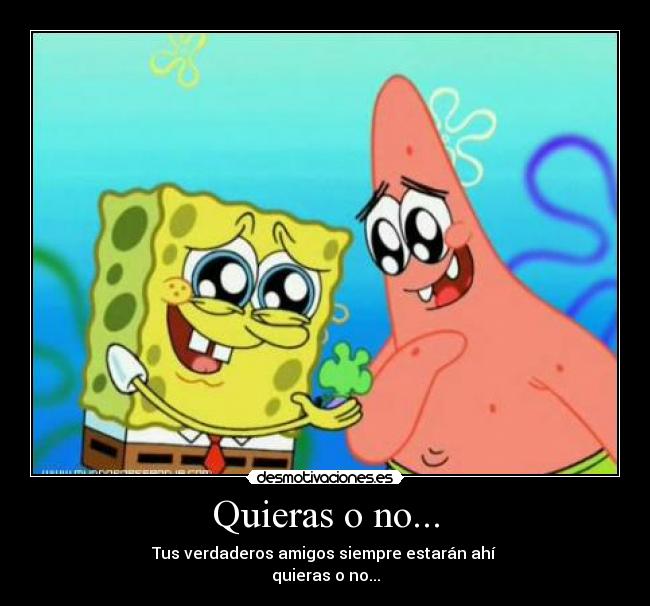 Quieras o no... - Tus verdaderos amigos siempre estarán ahí
quieras o no...