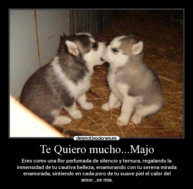 Te Quiero mucho...Majo - Eres como una flor perfumada de silencio y ternura, regalando la
inmensidad de tu cautiva belleza, enamorando con tu serena mirada
enamorada, sintiendo en cada poro de tu suave piel el calor del
amor...se mía.