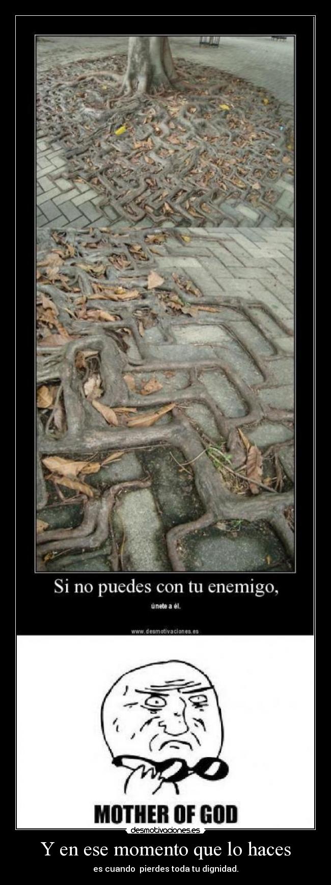 Y en ese momento que lo haces - es cuando pierdes toda tu dignidad.