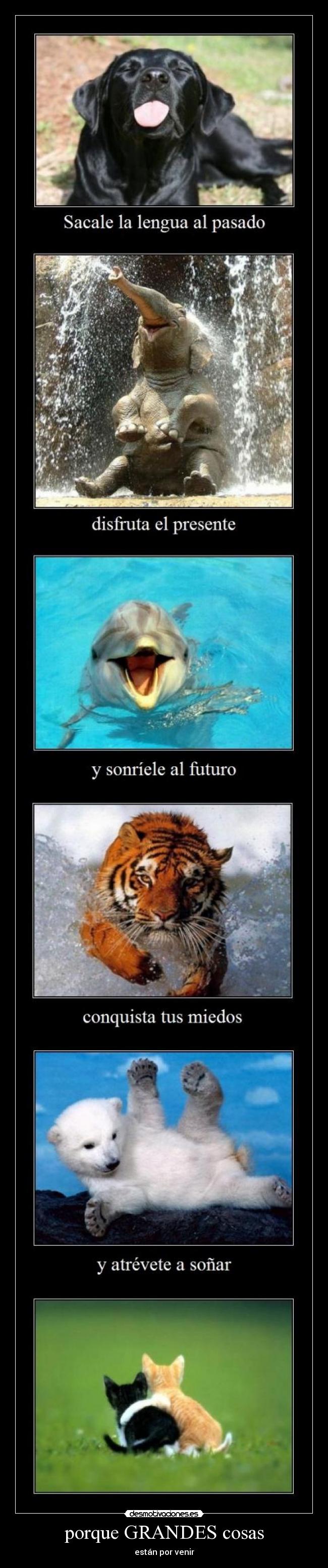 carteles grandes cosas estan por venir agente00cerdo desmotivaciones