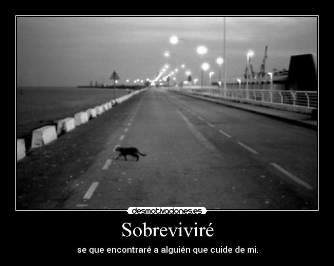 Sobreviviré - 