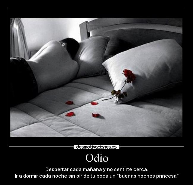 Odio - Despertar cada mañana y no sentirte cerca.
Ir a dormir cada noche sin oír de tu boca un buenas noches princesa