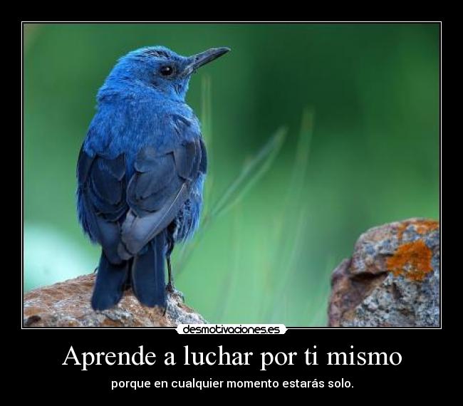 Aprende a luchar por ti mismo - porque en cualquier momento estarás solo.