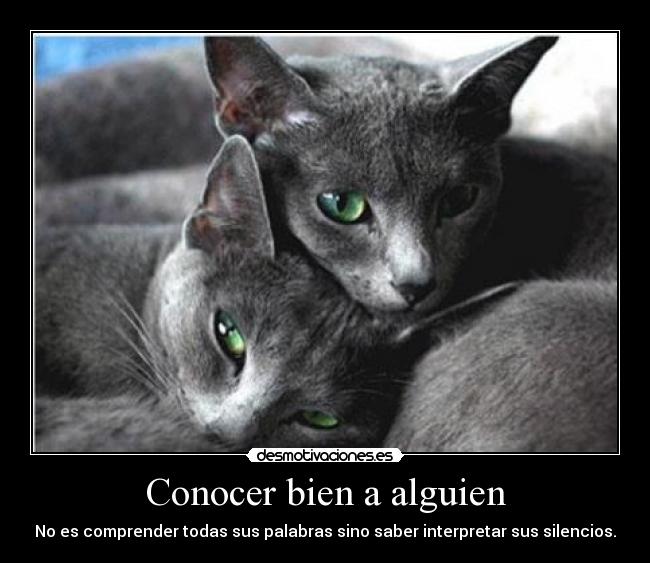 Conocer bien a alguien - 