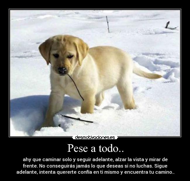 Pese a todo.. - ahy que caminar solo y seguir adelante, alzar la vista y mirar de
frente. No conseguirás jamás lo que deseas si no luchas. Sigue
adelante, intenta quererte confía en ti mismo y encuentra tu camino..