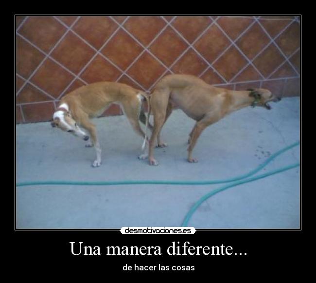 carteles una manera diferente desmotivaciones