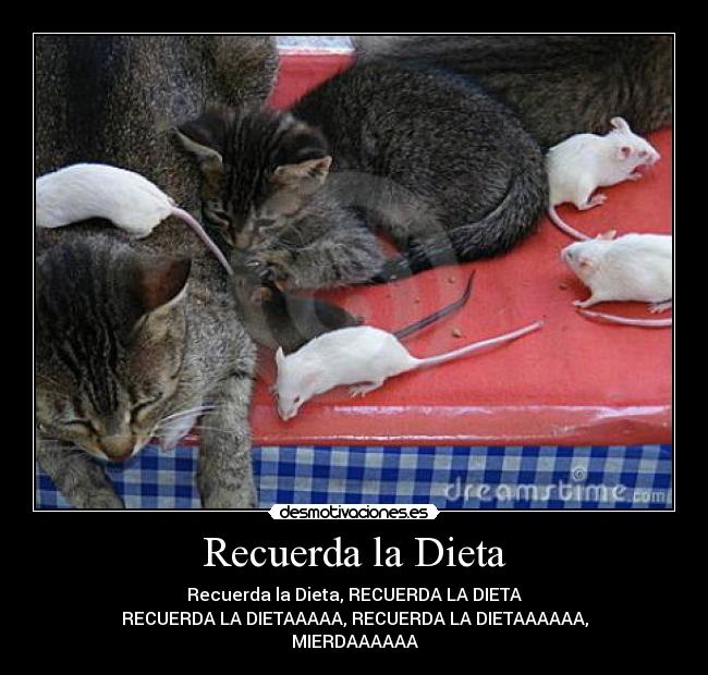 Recuerda la Dieta -
