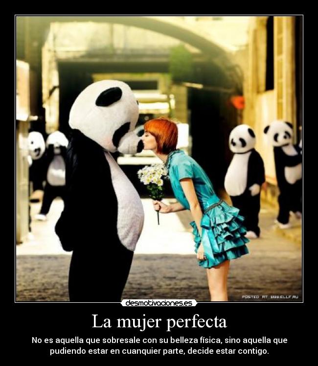 La mujer perfecta - 