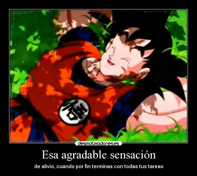 Esa agradable sensación - 