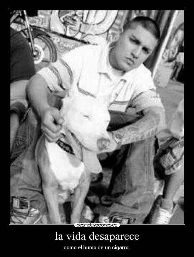 la vida desaparece - como el humo de un cigarro..