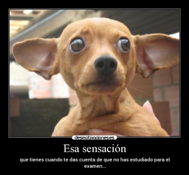 carteles dddddddddddddddddddddd desmotivaciones