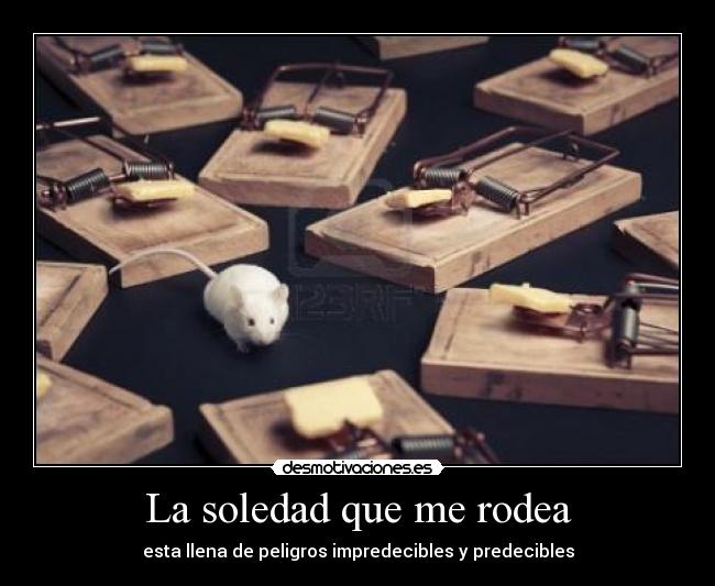 La soledad que me rodea -