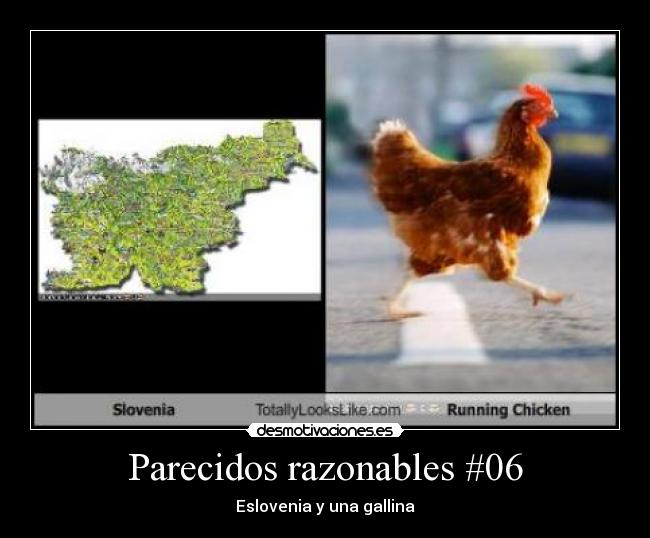 Parecidos razonables #06 -