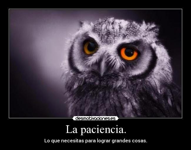 La paciencia. - 