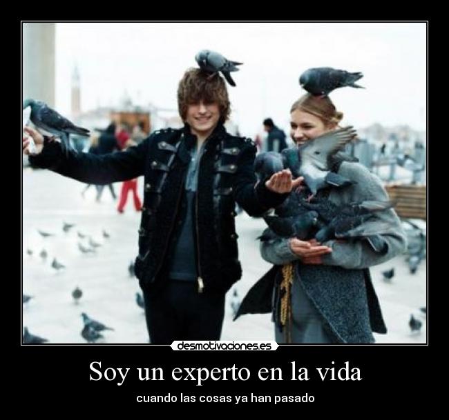 Soy un experto en la vida - 