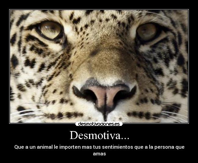 Desmotiva... -