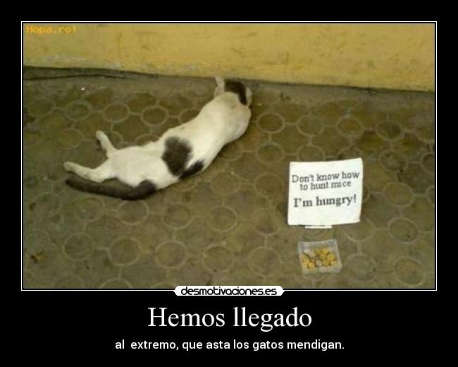 Hemos llegado - 