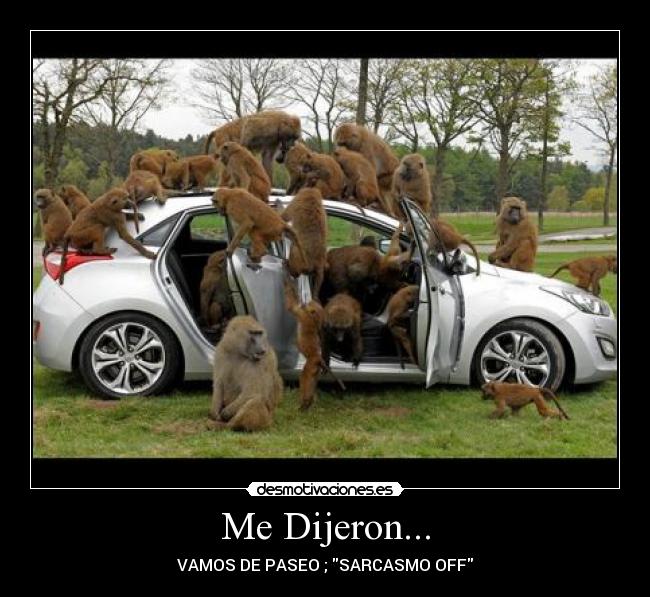 carteles sarcasmo desmotivaciones