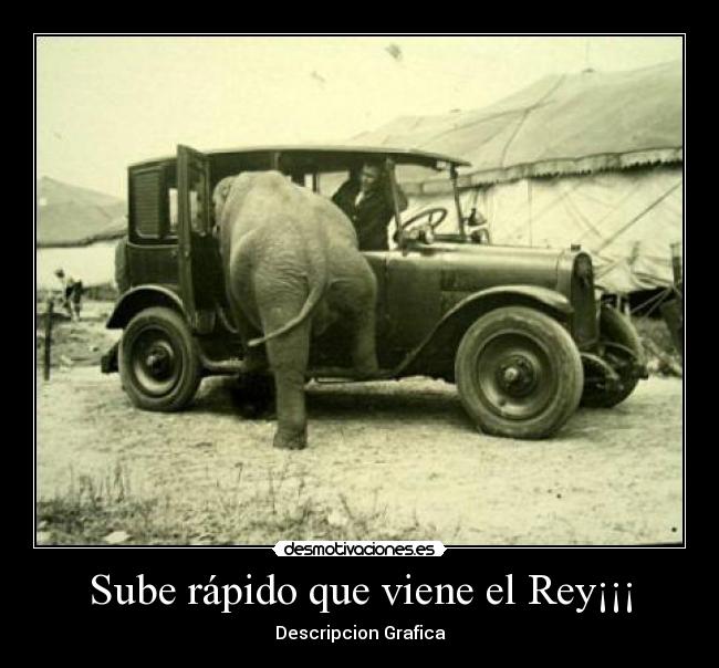 Sube rápido que viene el Rey¡¡¡ - Descripcion Grafica