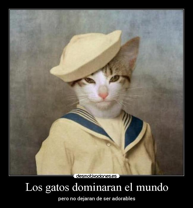Los gatos dominaran el mundo -