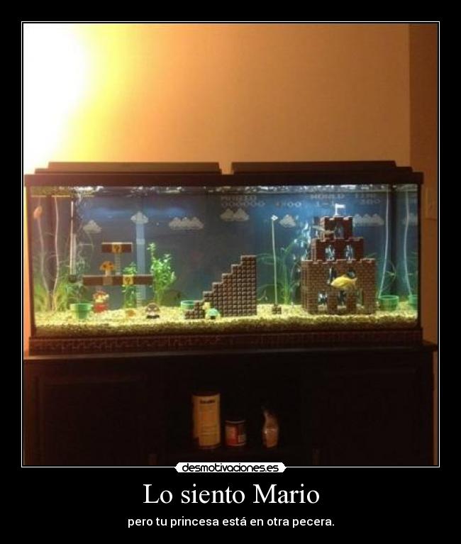 Lo siento Mario - 