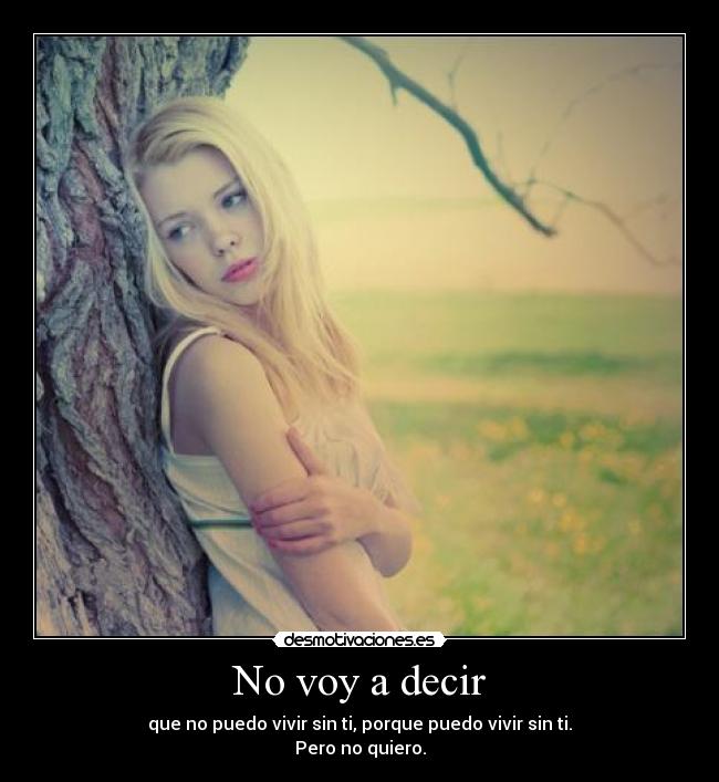 No voy a decir - 